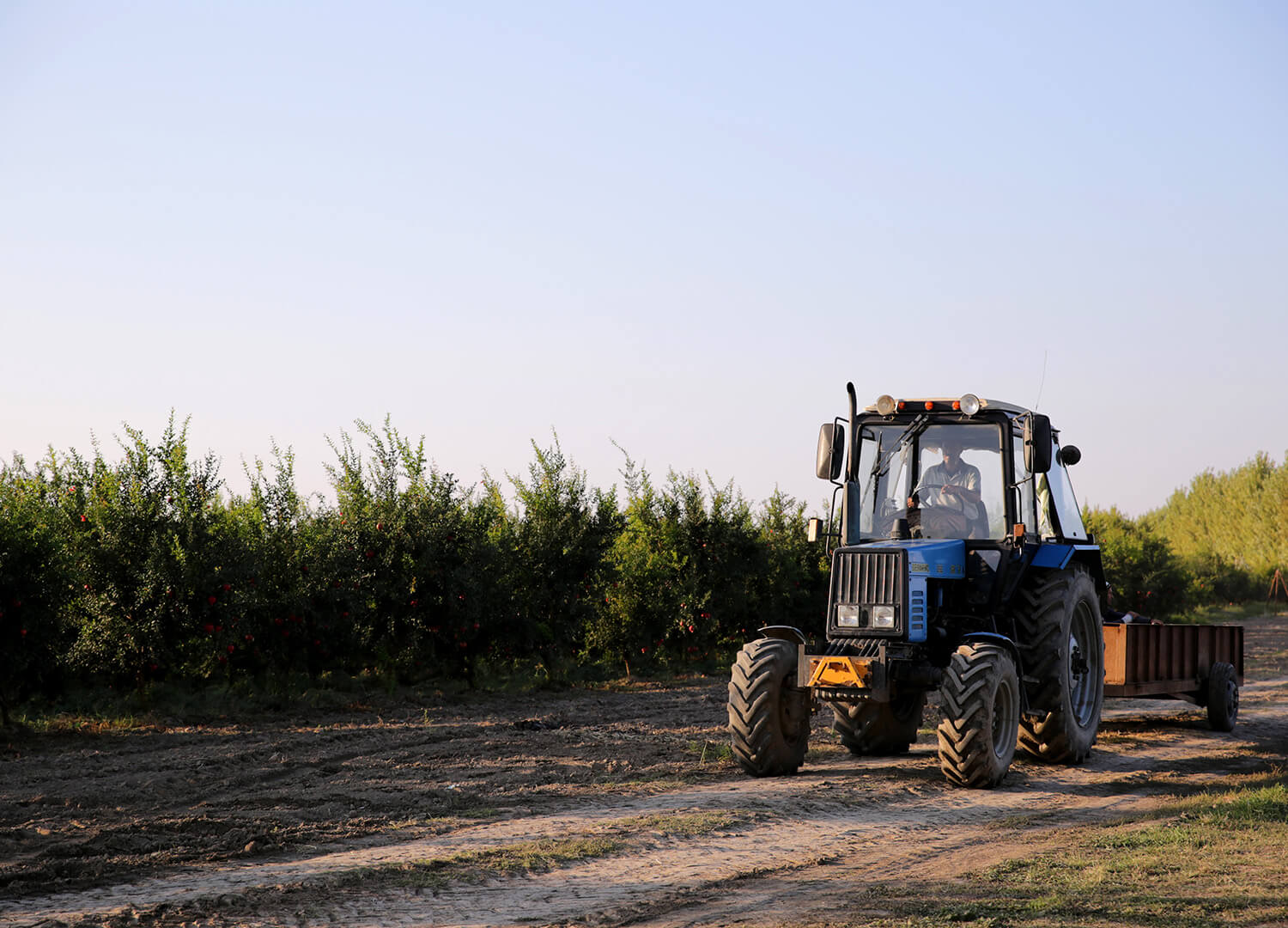 agriculture